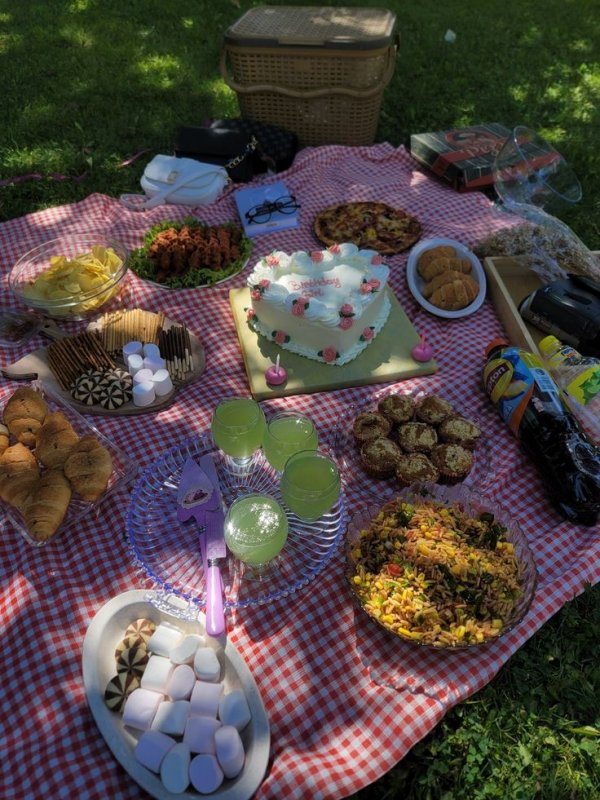 Fzeranisasss / Kayıp Zamanlar / Sözde piknik