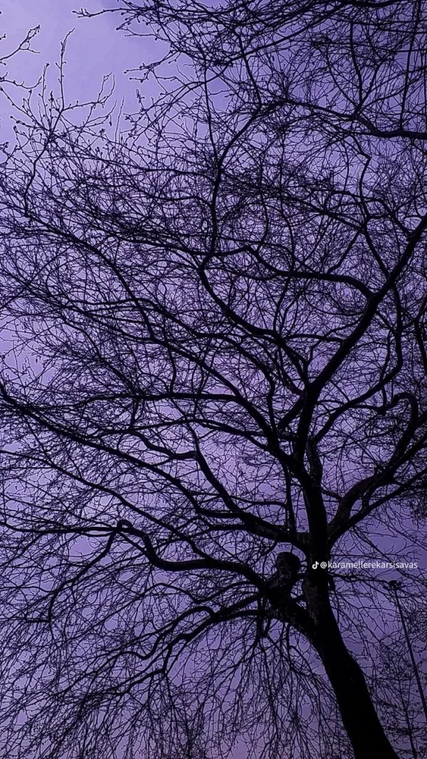 Zeyneb / Okuldaki kız / Okuldaki kız