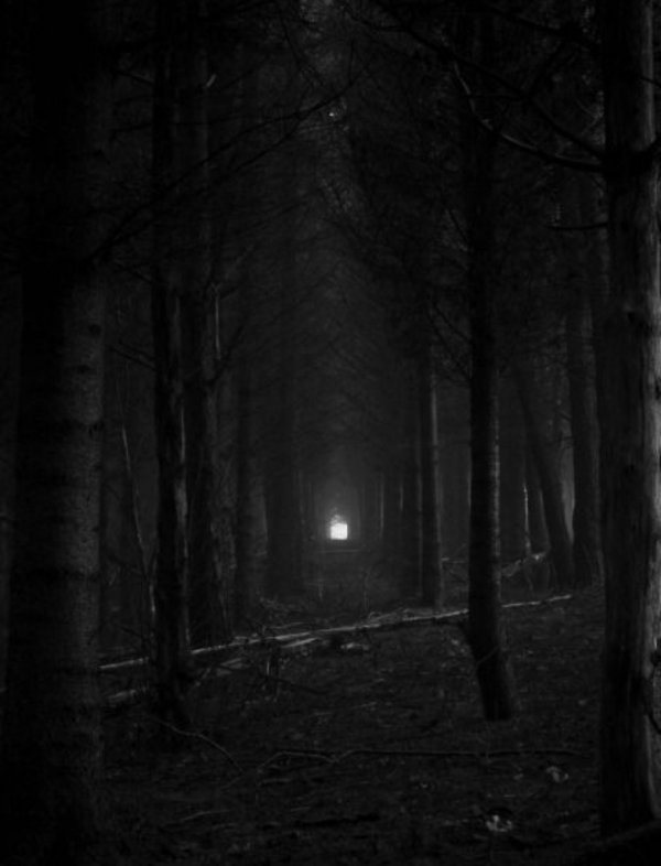 nisa çelebi / YANSIMA / 3.ıssız orman