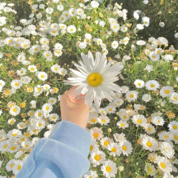 Sevda / Hayat bu (Gerçek ailem) / 7.Bölümm