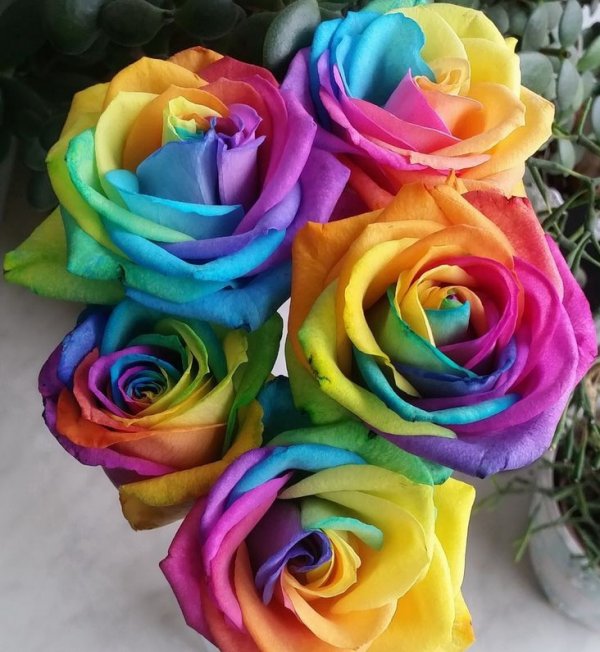 Sevda / Hayat bu (Gerçek ailem) / 8.Bölümm