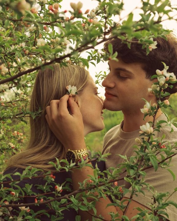 Sitare Kiraz / İstiridyenin Kayıp İncisi / ~Bölüm Yirmi İki; Karışık kafalar bulaşıklı mutfaklar~