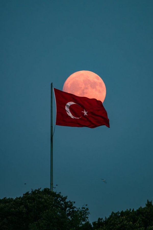 Ravzanur Aygün / PENÇE / 17.BÖLÜM