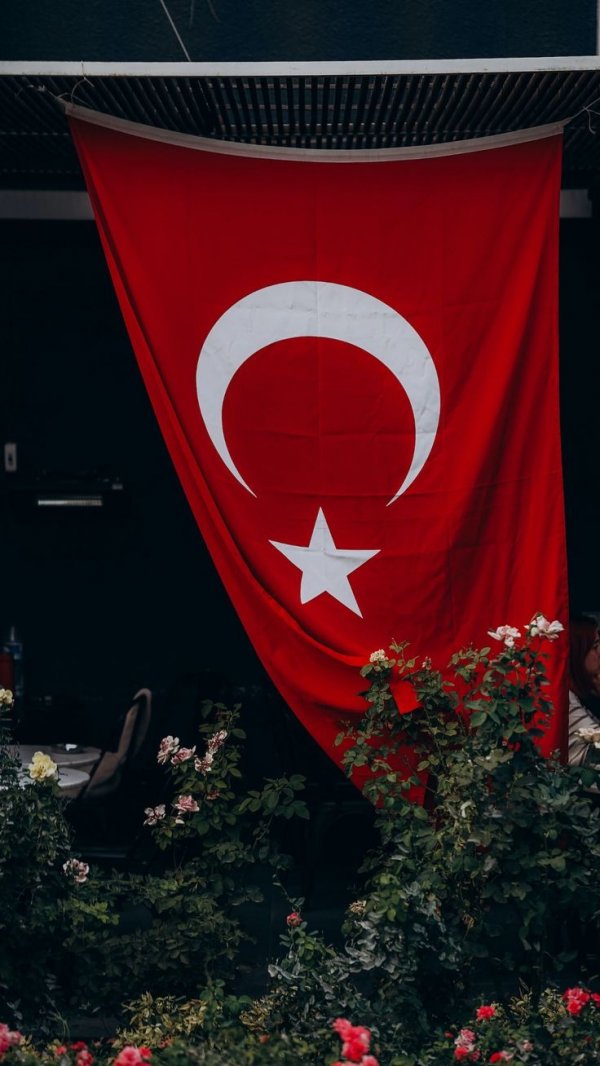 Ravzanur Aygün / PENÇE / 25.BÖLÜM