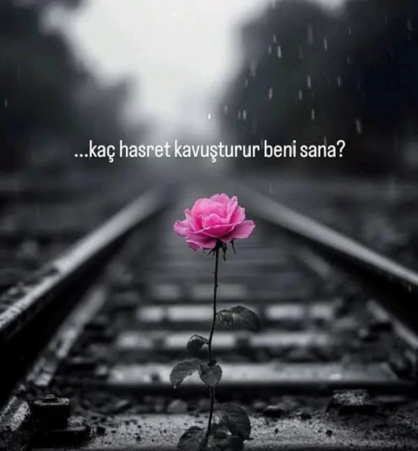 Aden Nida Demir / Hasret / Eve yeni misafir