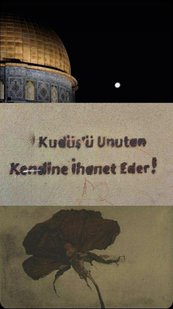 MozaikKule / Mesele Aşk Değil ✔️ / 4. Bölüm