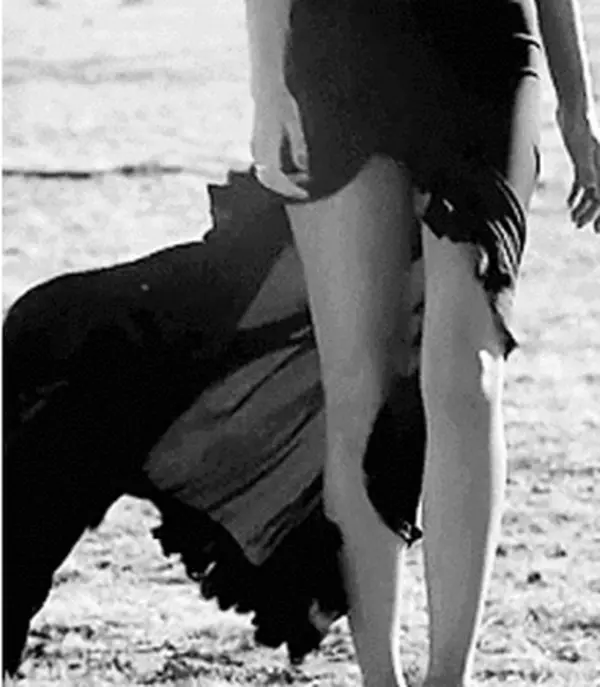 Deniz / KARIŞIK NUMARALAR/YARI TEXTING / 33. Bölüm: Gergin Toplantı