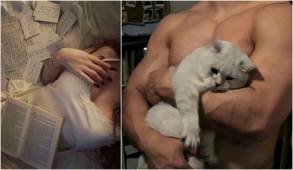 Jasmin Memmedli / Mafyanın küçük siçanı / Kıskançlık