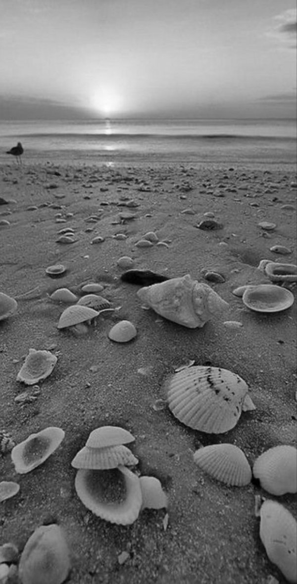 Seher Meriç / Si̇yah Perçem / 40. Bölüm