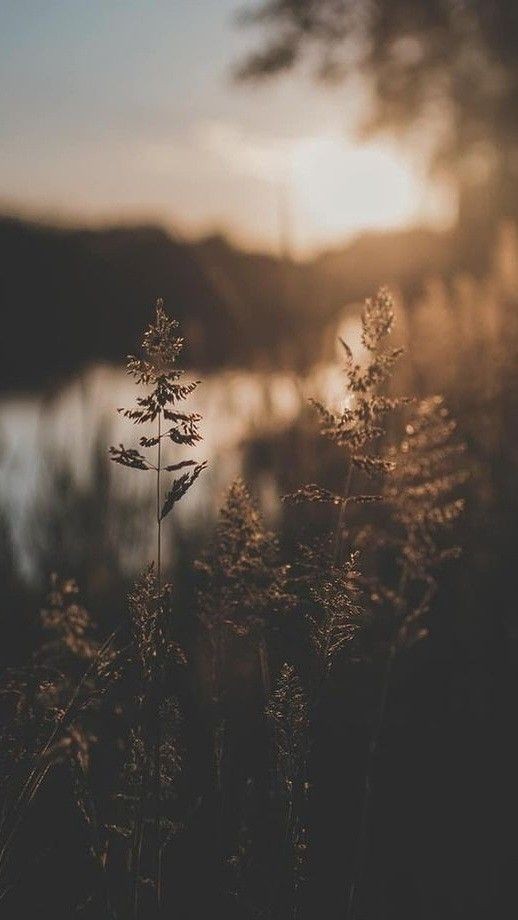 Seher Meriç / Çöl Sarayı Prensesi / 18. Bölüm