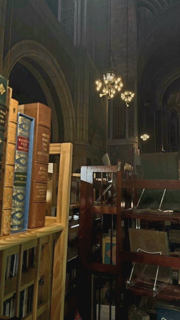 Seher Meriç / Çöl Sarayı Prensesi / 26. Bölüm