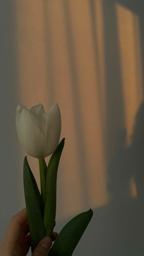 Asude Öztürk / Zirve ve Gölge -GERÇEK AİLE- / 10. Bölüm