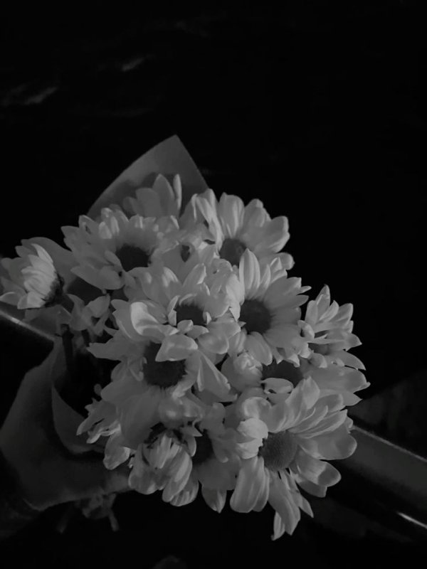 Asude Öztürk / Zirve ve Gölge -GERÇEK AİLE- / 16. Bölüm