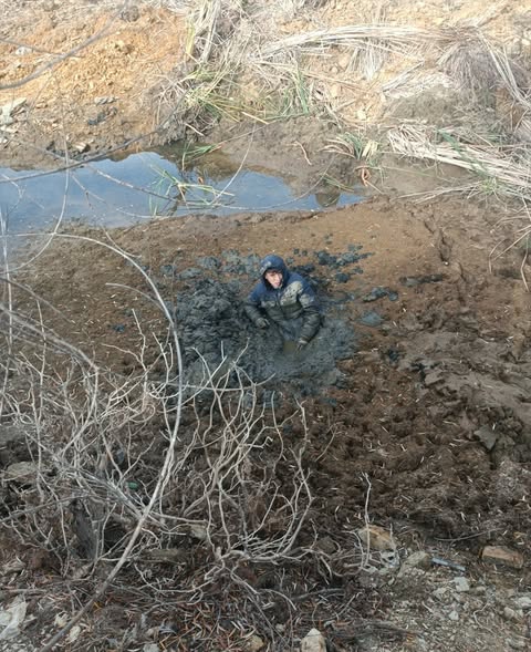 Yılmaz Örmeci / Edebiyat Parçalarım / MUHTAR VE BÜROKRAT