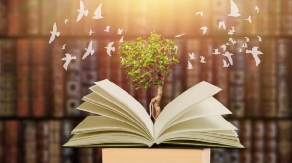 Yılmaz Örmeci / Kırık Olsa Duramazsın / 33. Bölüm: Baba'nın Kuralları