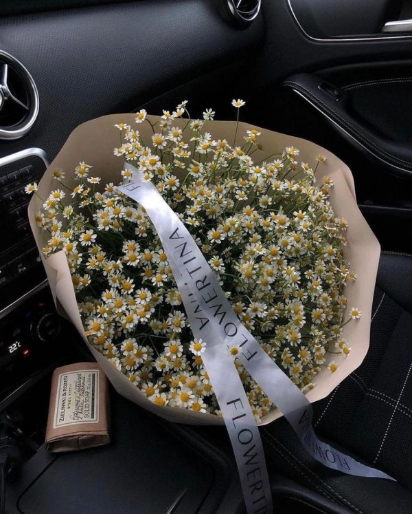 Beyza Yıldırım / YÜZBAŞININ PORTRESİ (FİNAL OLDU) (DÜZENLENMEDE) / Yandırdı Sevdan beni