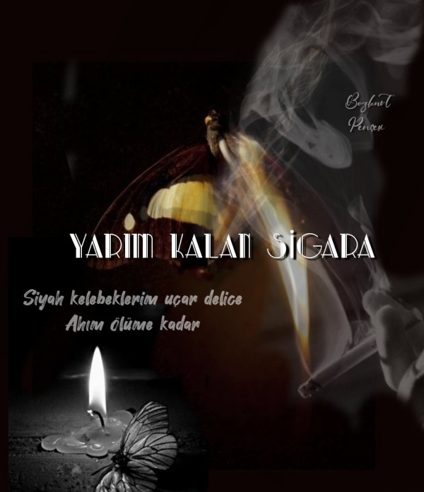 Bozkurt Pençesi / Yarım Kalan Sigara / Bölüm 95 : Ahım ölüme kadar 🥀🔥