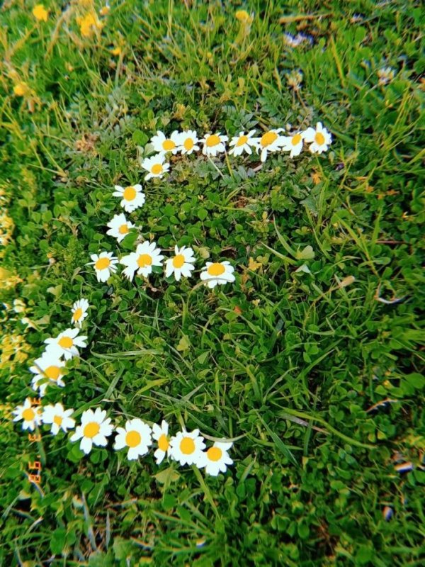 Diva / SONSUZA KADAR / Dans Vakti