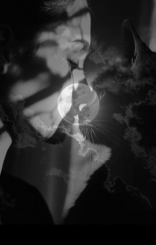 Eylül / Ay Benim Gece Senin / ᕙNocheᕗ
ᕗGeceᕙ