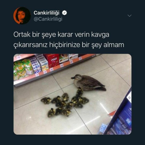 morkanatlızamanlar / ayağını denk al, polis |texting / ³²