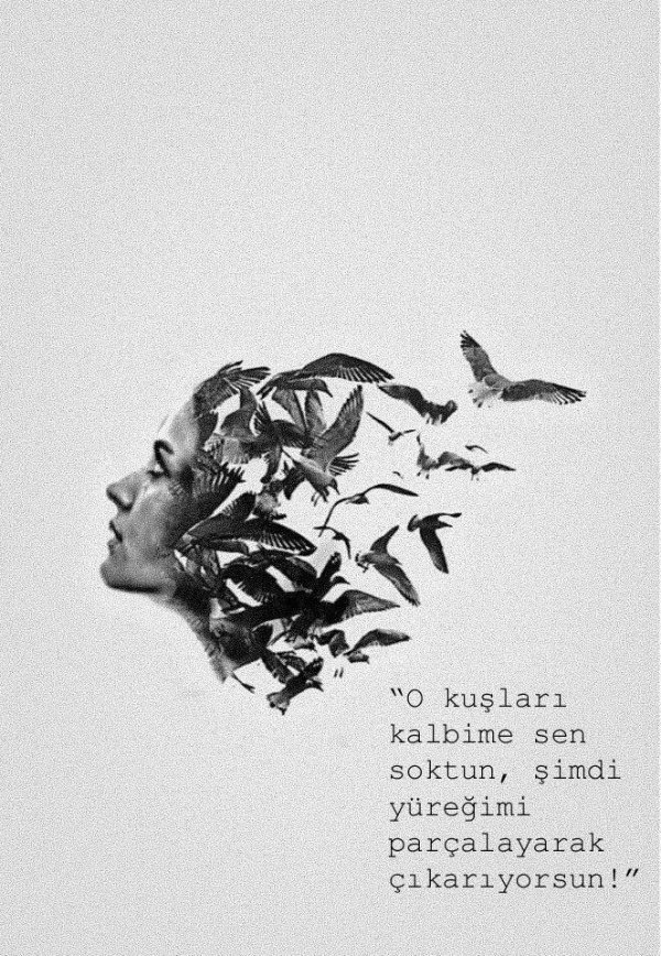 selin özgen / KIYAMADIKLARIMIZ / •••Kıyamadıklarımız çok güzel kıyıyor bize