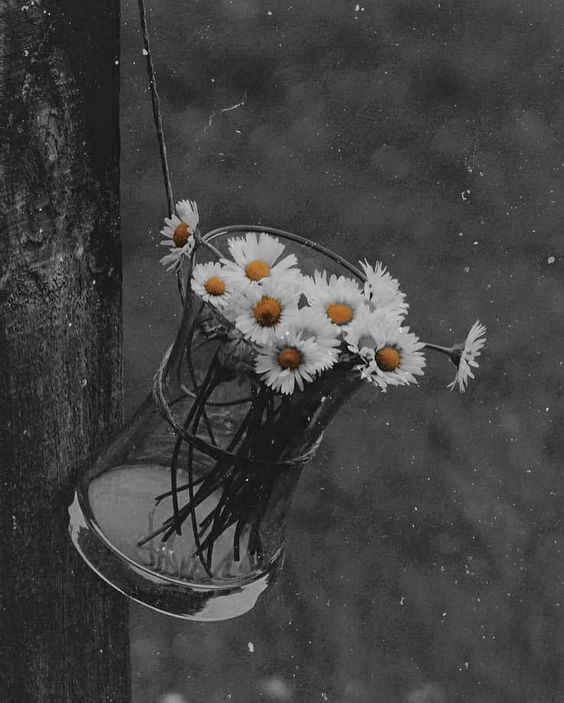 selin özgen / KIYAMADIKLARIMIZ / •••Sana kıyamam ben