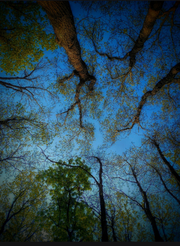 HELLİK CAN / GERÇEK AİLEM~AYÇA / 22