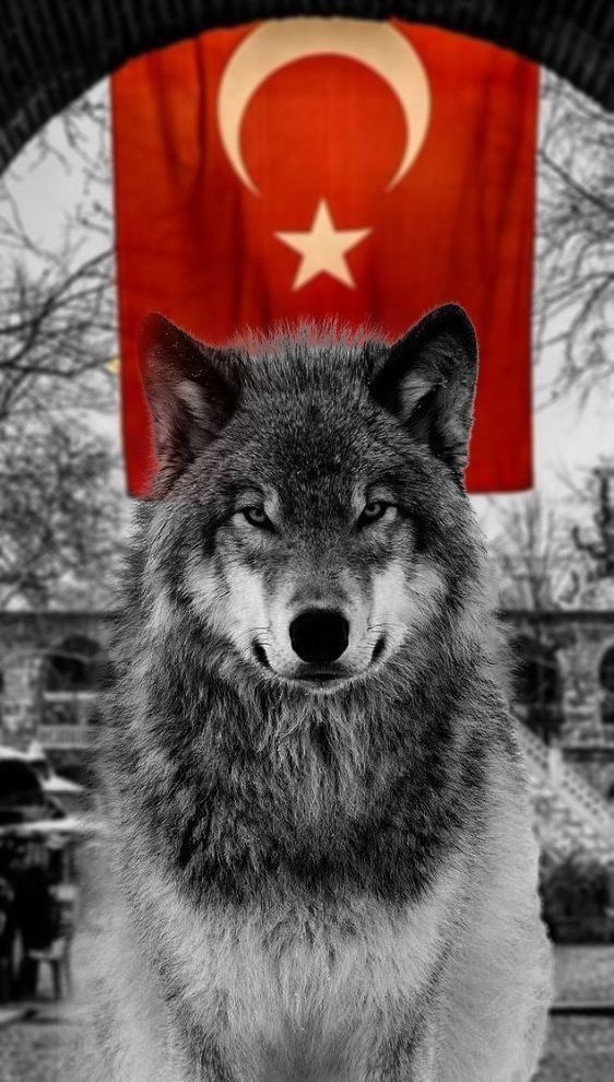 Sultan Çakır / GÜVERCİN / METE'DEN SİZE BİR MESAJ VAR!