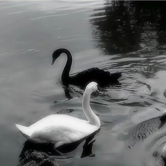 Anatra Bordò / KANLI BUZ(+13) / 17.BÖLÜM:GECENİN SABAHI