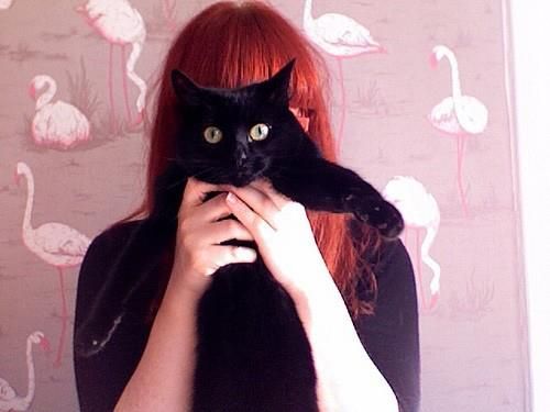 Büşra Soyalp / KIZIL SAÇLI KARA KEDİ / Bölüm 20