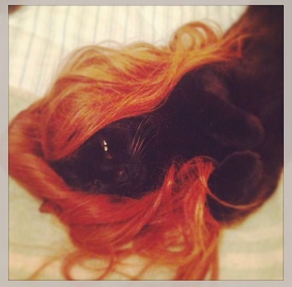 Büşra Soyalp / KIZIL SAÇLI KARA KEDİ / Bölüm 21