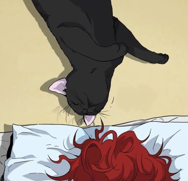 Büşra Soyalp / KIZIL SAÇLI KARA KEDİ / Bölüm 22