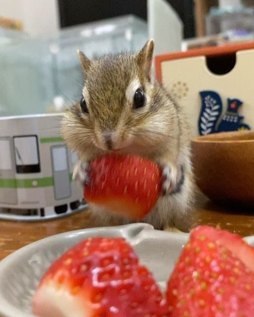 Büşra Soyalp / KIZIL SAÇLI KARA KEDİ / Bölüm 25