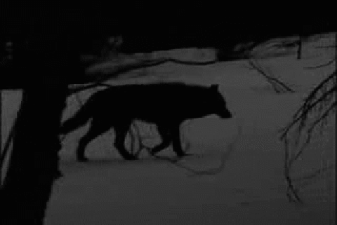 sema turan / Karanlık Yüz: Gölge / 22. Gölge