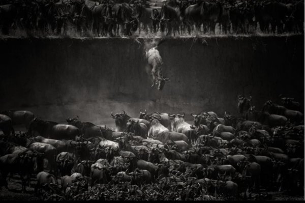 Fatma Tuncay / MİRAS / 4. Bölüm Kabulleniş