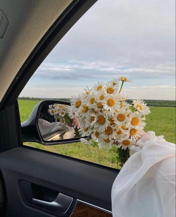 Mihrimah Altun / Bir Demet Papatya / 4.𝓑𝓸𝓵𝓾𝓶