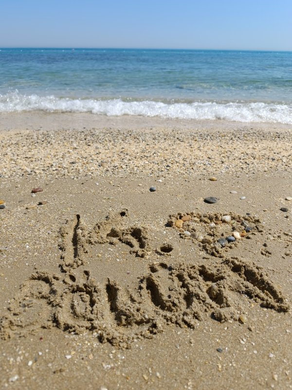 Mihrimah Altun / Bir Demet Papatya / 14.𝓑𝓸𝓵𝓾𝓶