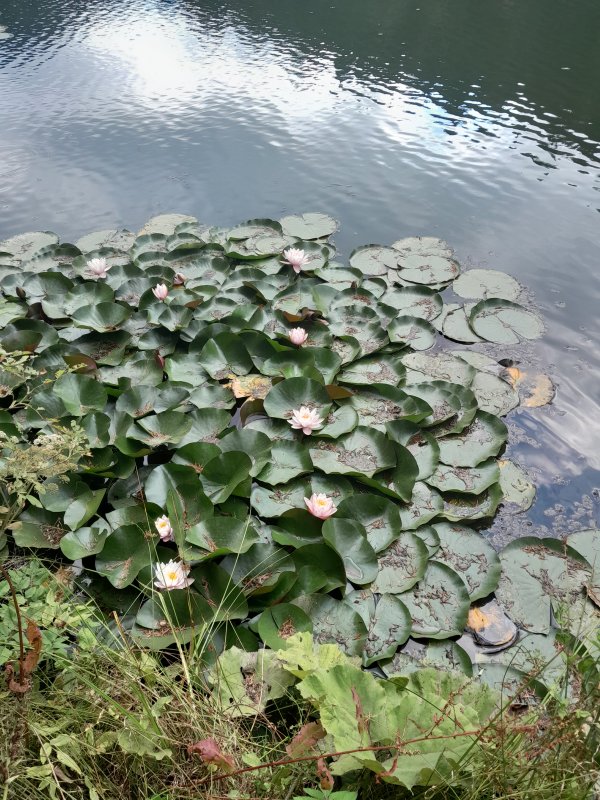 Zeynep yavaş / Dünyadaki cennet / Gülerdi gözlerin