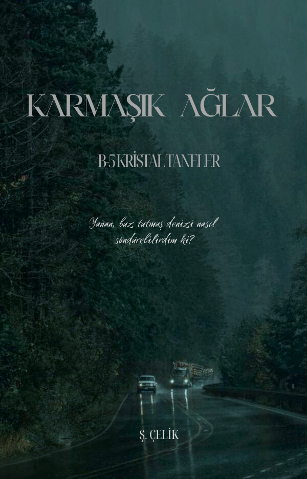 ŞÇelik / Karmaşık Ağlar / B-5 KRİSTAL TANELER