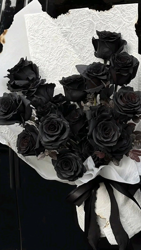 ⋆.𐙚 ̊. / Sessiz Yemin / 9 bölüm ||Siyah gül.||