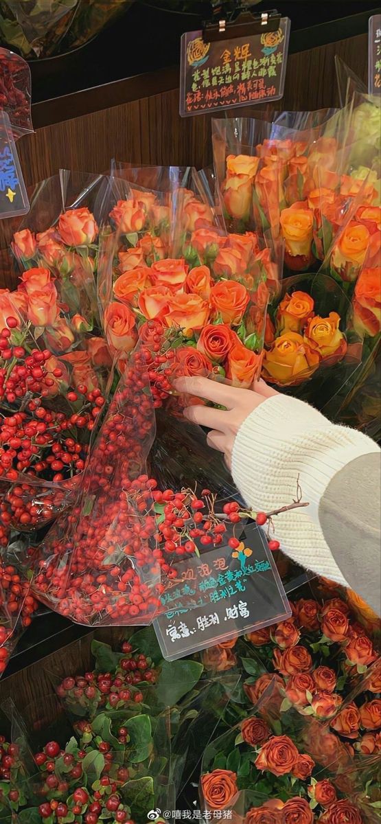 Satürn`ün Halkası / Beyaz Açelya / 7. Bölüm