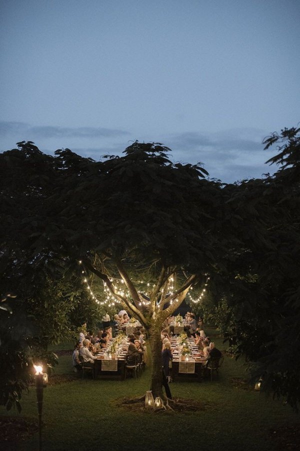 Satürn`ün Halkası / Beyaz Açelya / 43. Bölüm