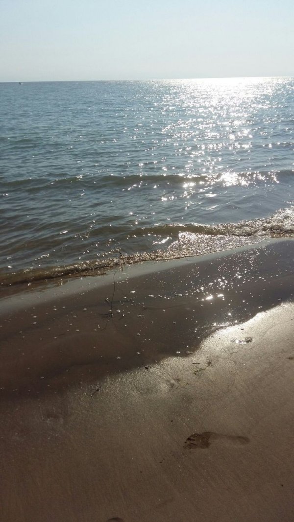 Satürn`ün Halkası / Beyaz Açelya / The End