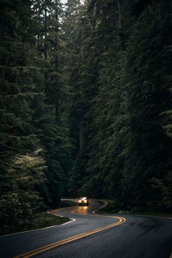 Satürn`ün Halkası / Zamanın İzleri / İhtimaller