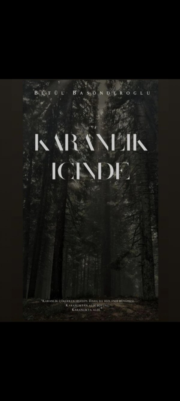 Betül Başönderoğlu / KARANLIK İÇİNDE / GİRİŞ