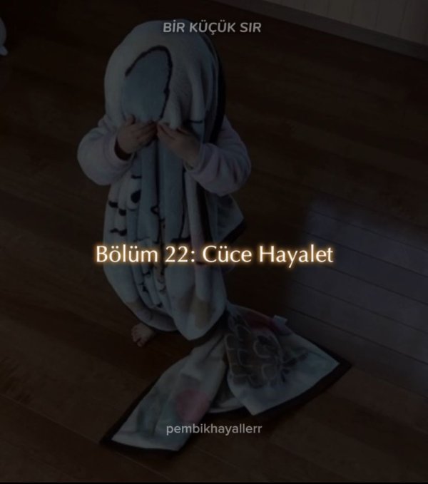 pembikhayaller / BİR KÜÇÜK SIR / Bölüm 22: Cüce Hayalet