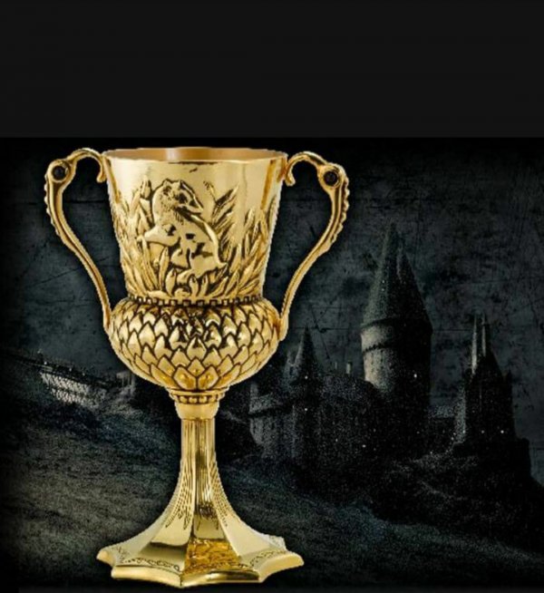 Hermione Granger / Harry Potter ~Başka Bir Evrende~ / 8. Bölüm: Hufflepuf'ın Kupası