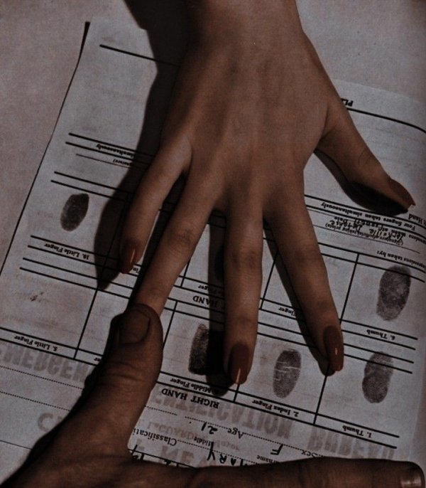 Zeynep Eroğlu / Tesadüf aşk / Herşey ortaya çıkıyor