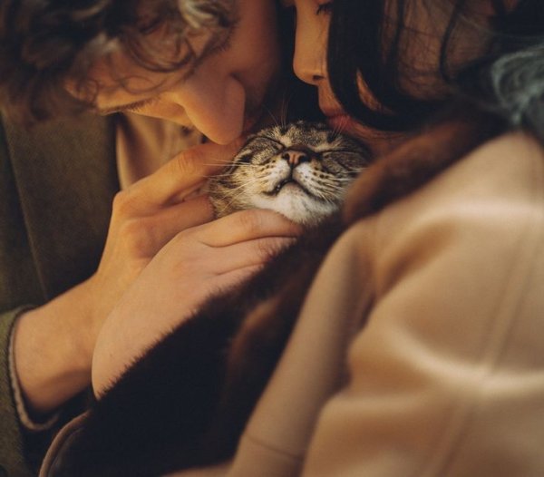 Şeymanur / Zecir / 19 - İhtimaller