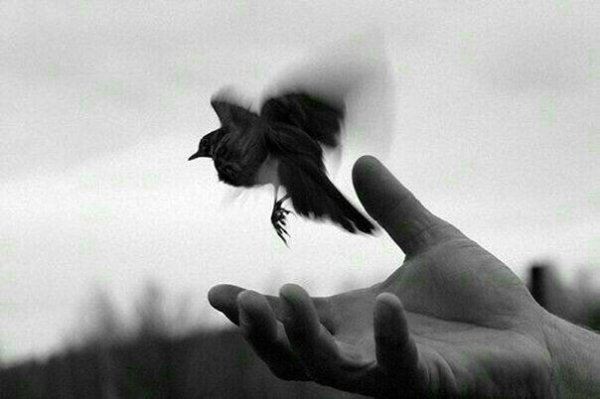 Şeymanur / Kendini Özgürlüğe Bırak / İhti̇yacın Ne Mi̇ ?